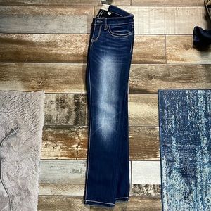 NWT 25R BKE Stella Skinny Jeans